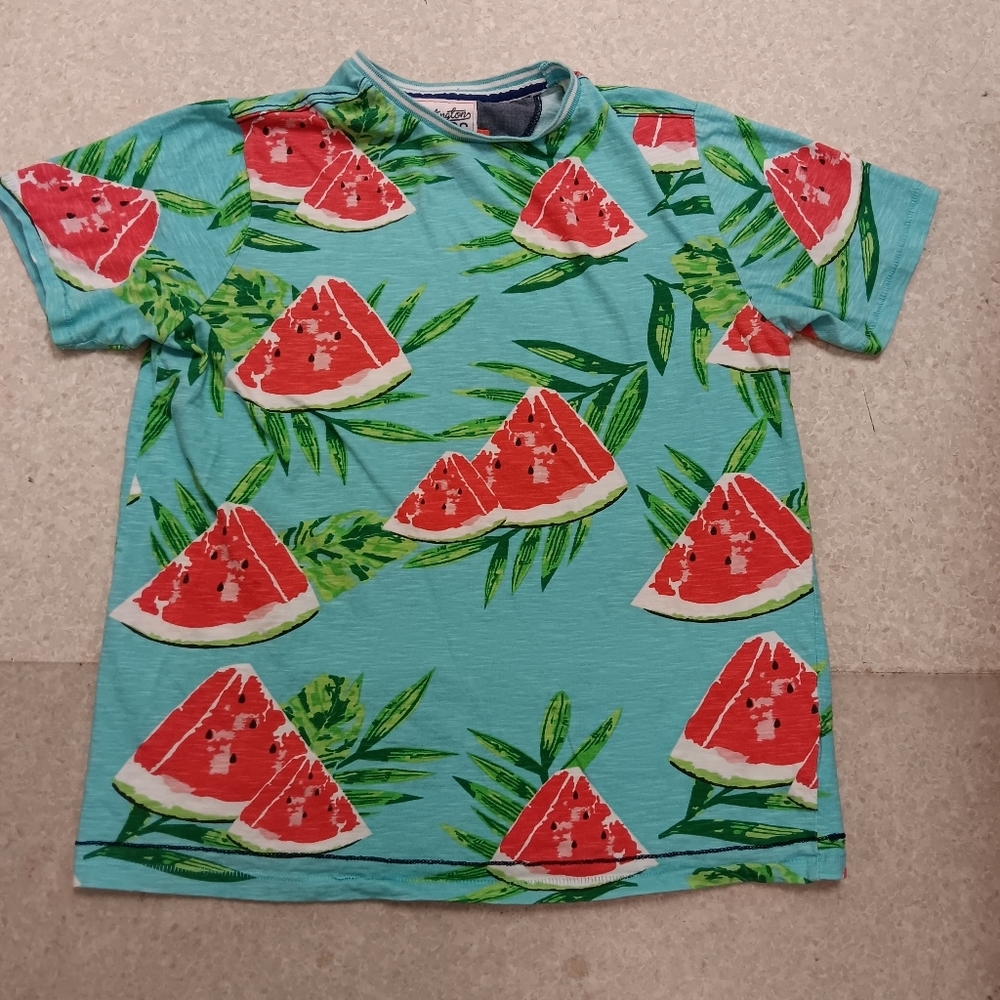 Huntington BC crew neck short sleeve T-shirt blue watermelon novelty print M Men